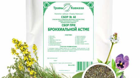 Народные средства при бронхиальной астме и других респираторных заболеваниях