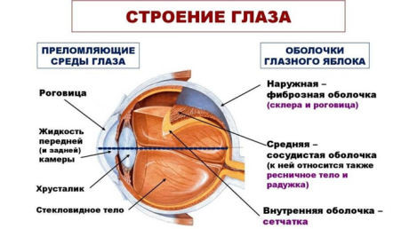 Orlium (Орлиум) – комплекс для улучшения зрения