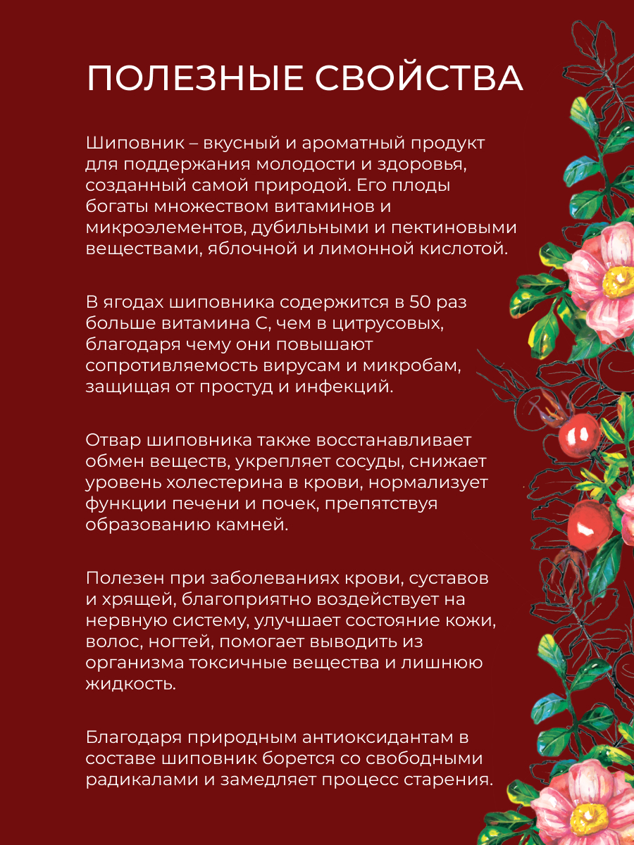 Полезные качества шиповника