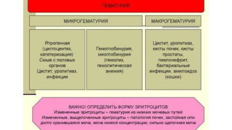 Причины крови в моче при цистите