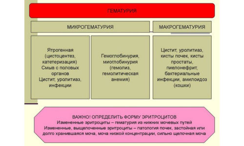 Причины крови в моче при цистите