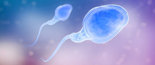 Признаки развития пиоспермии и методы ее лечения