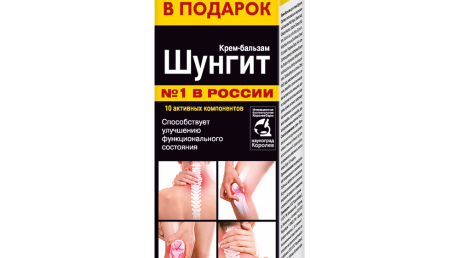 Шунгит для лечения менингита