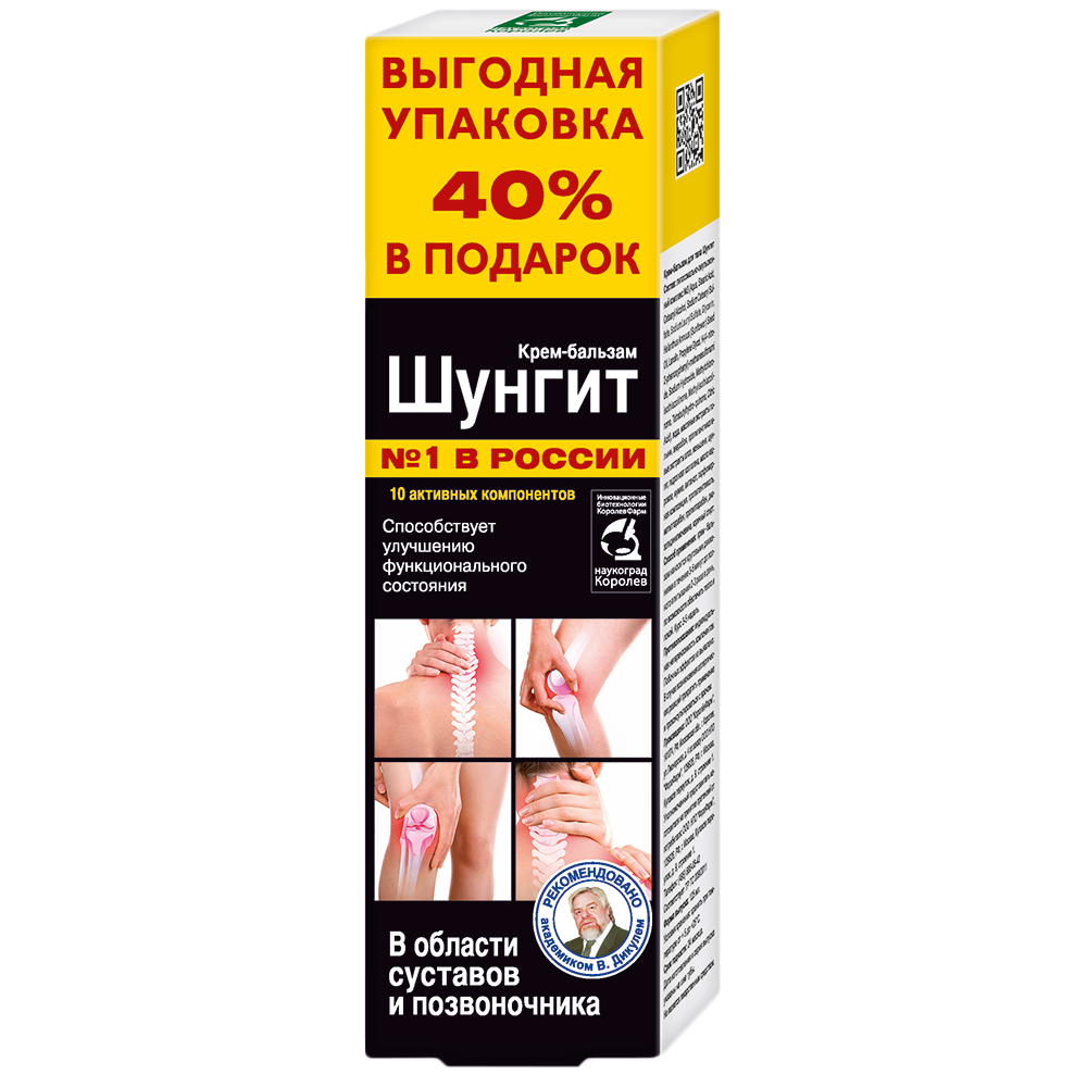 Шунгит для лечения менингита