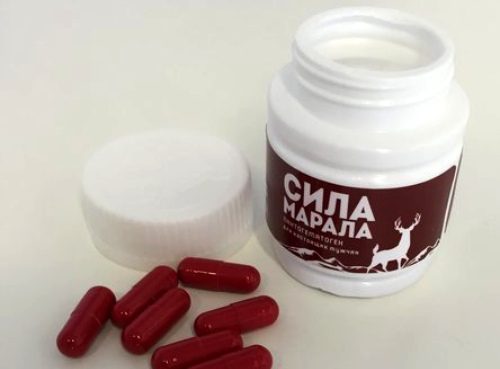 Сила Марала — средство для мужской потенции