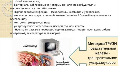 Влияние массажа стоп на здоровье предстательной железы