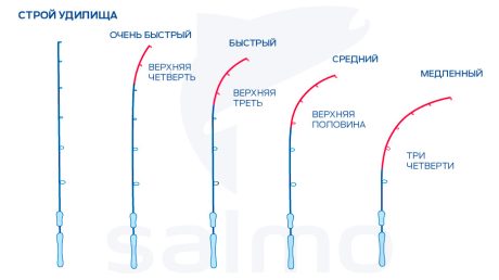 Совет новичкам как выбрать спиннер