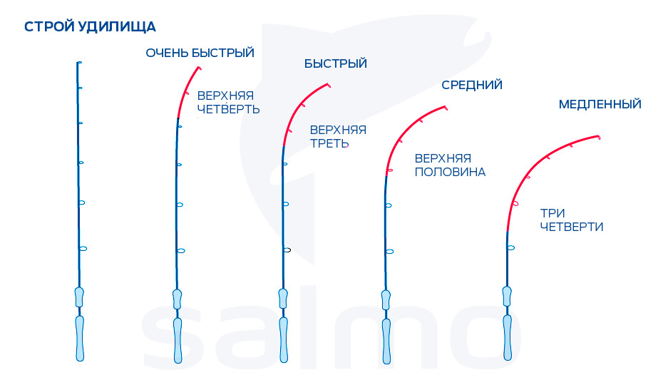 Совет новичкам как выбрать спиннер