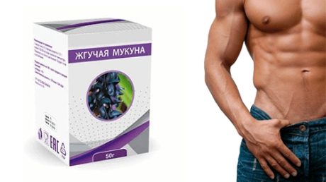Средство Жгучая Мукуна — высокая потенция и стойкая эрекция
