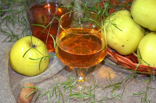 Вино из яблок: как сделать в домашних условиях