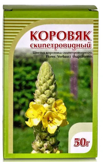 Высокий коровяк для терапии воспаления гортани