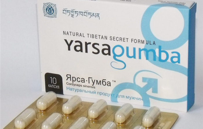 ЯрсаГумба (Yarsagumba) — эффективное средство для повышения потенции